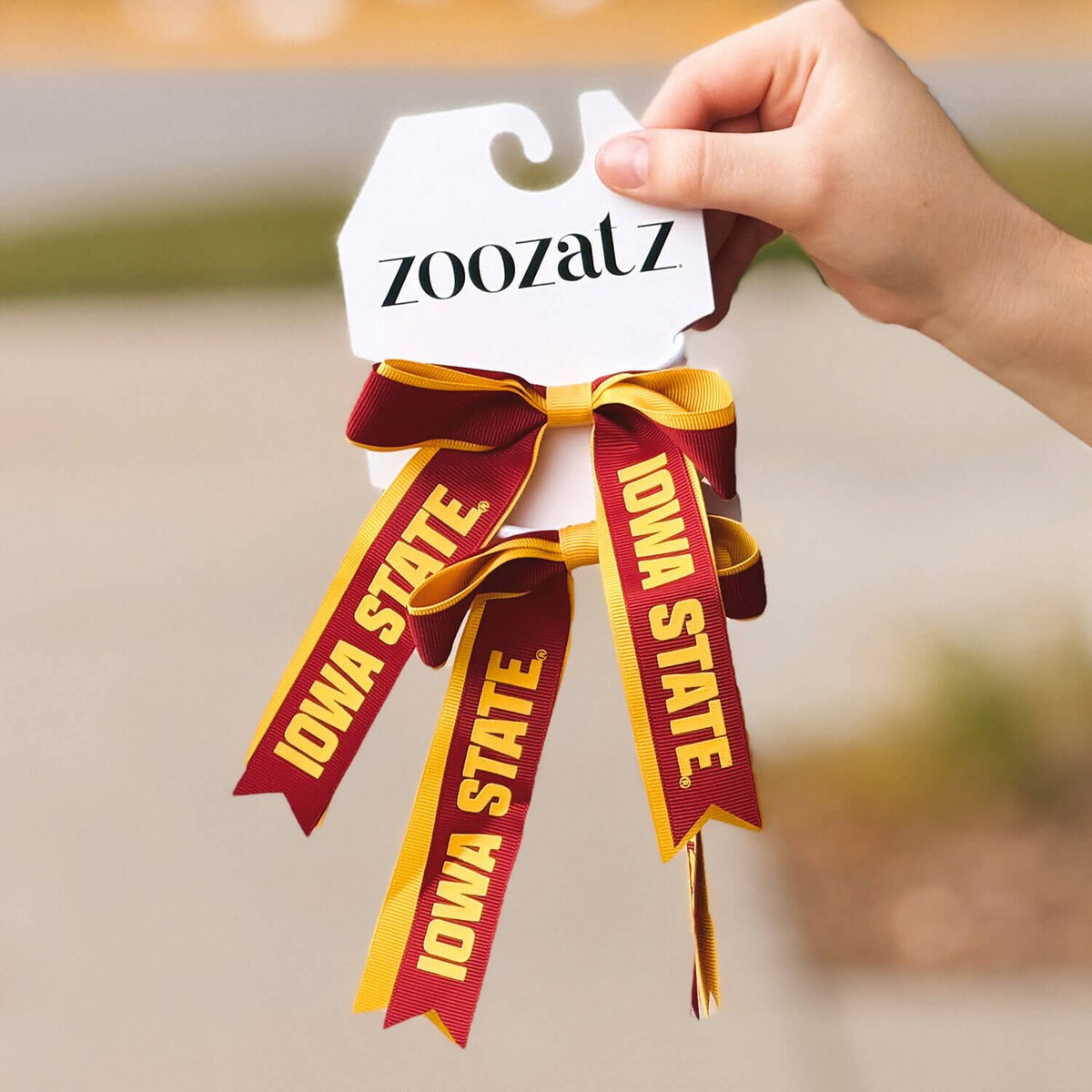 ZooZatz Iowa State Cardinal and Gold Bows 2-Pack